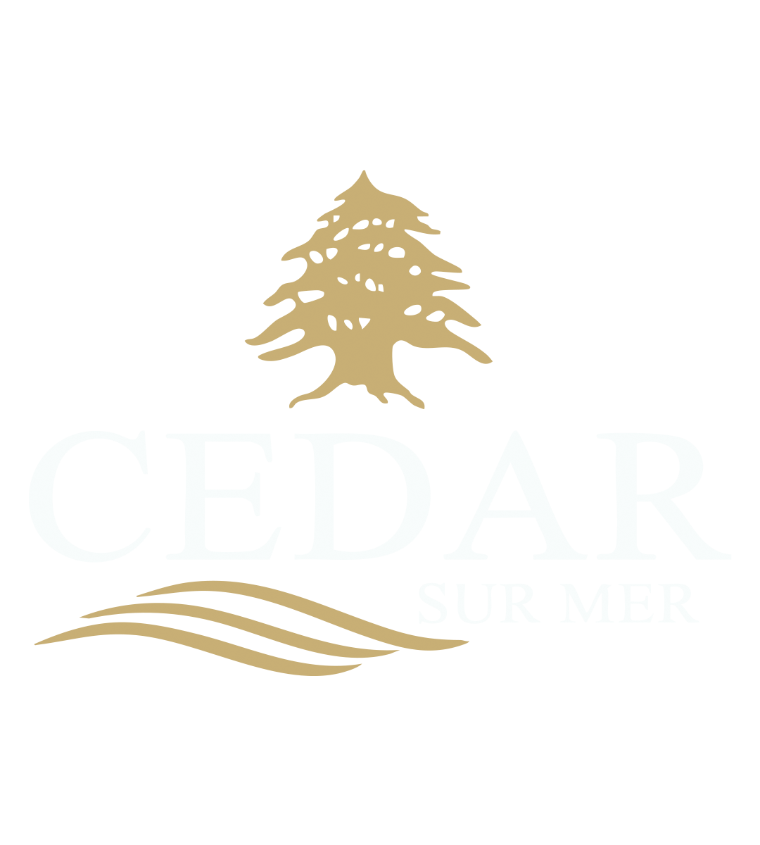 Cedar Sur Mer Dubai
